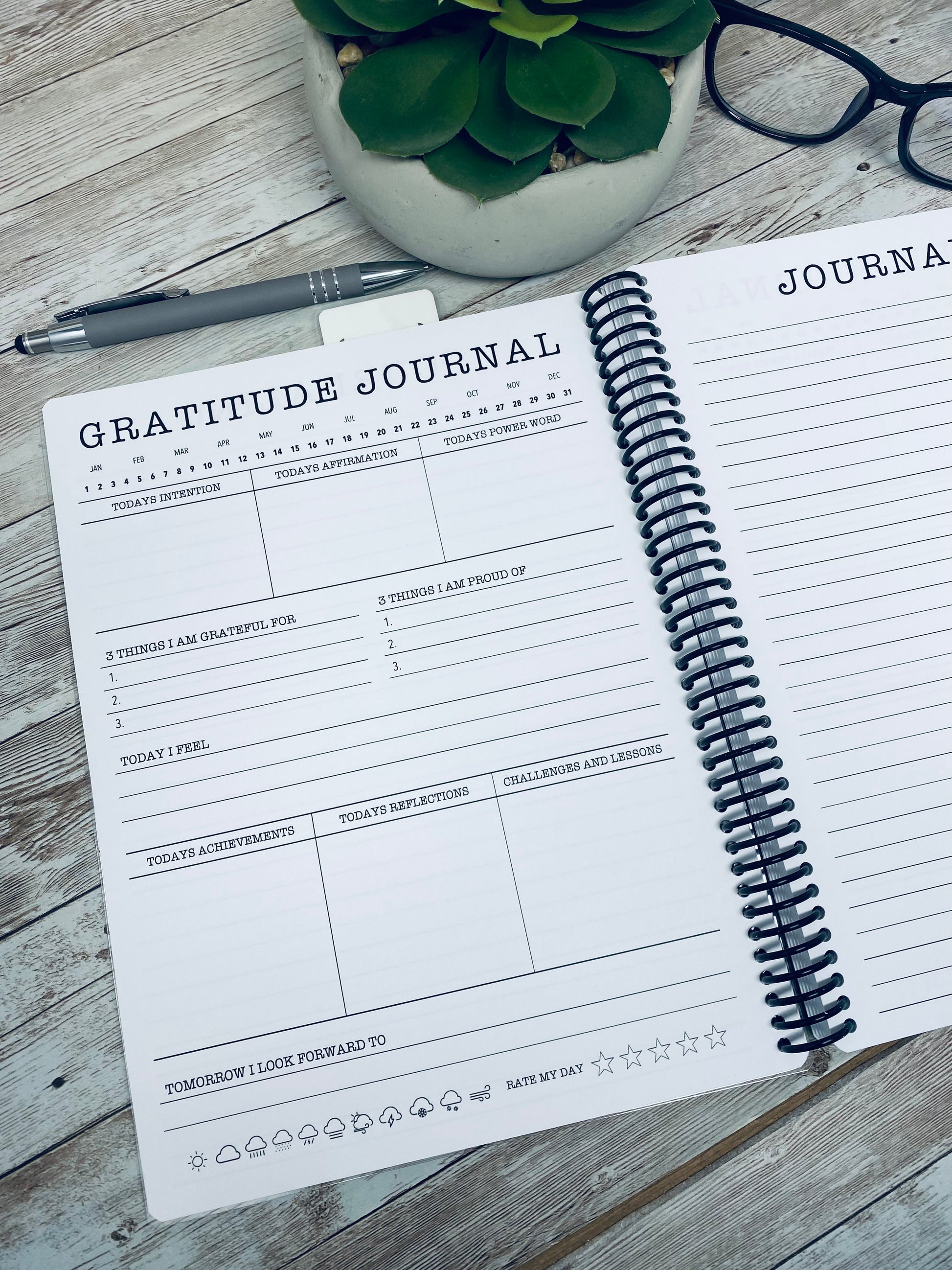Gratitude Journal – Organized Chaos